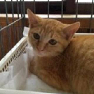 【期限あり！】甘えたくて待っています