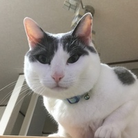 みぃ