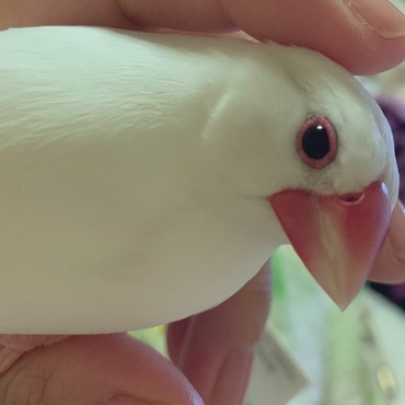 の写真