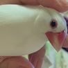 の写真