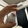 みっちゃん13