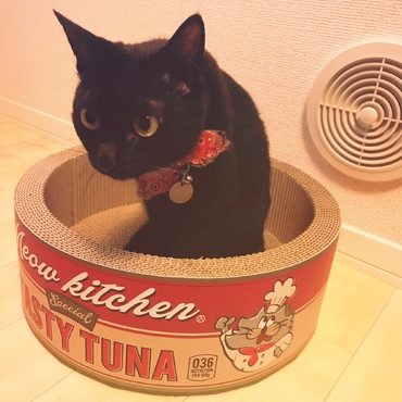 ぐりの写真