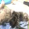 の写真
