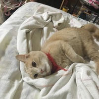 るー