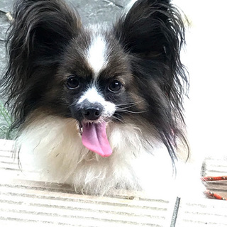 ありがとうございました。良いご縁がつながりました。