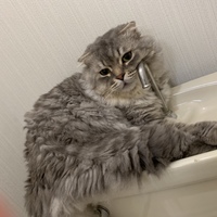 課長