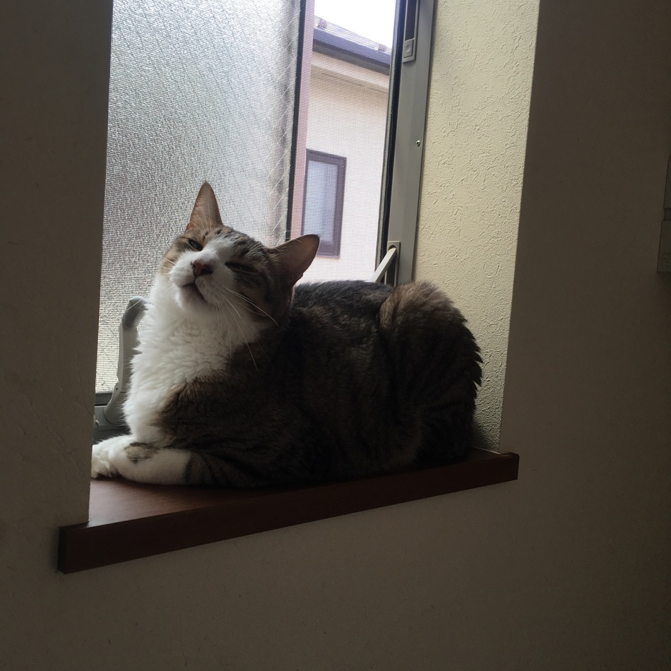 こばんのカバー写真
