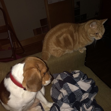 もう寝る時間だよ。