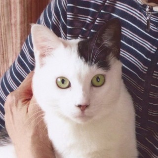 エイズ(＋)ですけど何か？