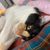 びびりだけど遊ぶのが大好きなうみちゃん サムネイル2