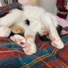 びびりだけど遊ぶのが大好きなうみちゃん サムネイル3