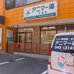 アニマー湯犬猫譲渡会