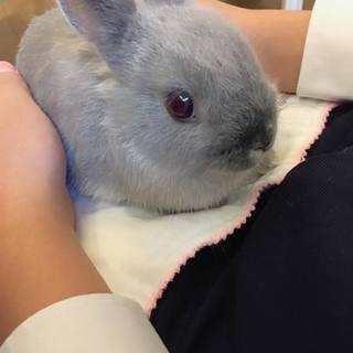 ありがとうございました！