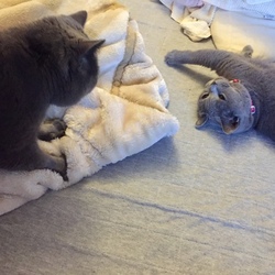 「備えあれば憂いなし ？ 有り？」サムネイル2