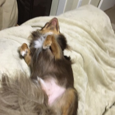 の写真