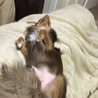 の写真
