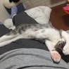 の写真