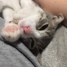 の写真