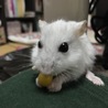 の写真