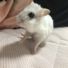 の写真