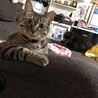 の写真