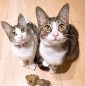 にこ&わく♡仲良し双子 一緒のご縁を♡