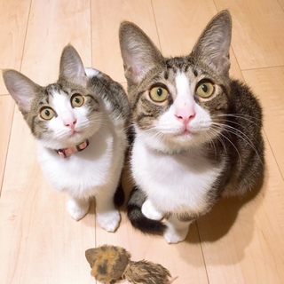 にこ&わく♡仲良し双子 一緒のご縁を♡