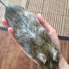 ぴぃ