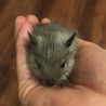 ちぃ