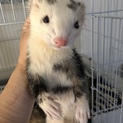 暖かいご応募メッセージありがとうございました。
