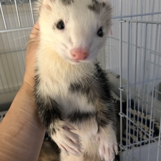 暖かいご応募メッセージありがとうございました。