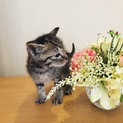 可愛い過ぎるんですけど