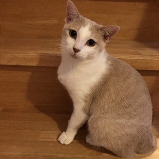 母性の強い優しいままです