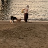の写真