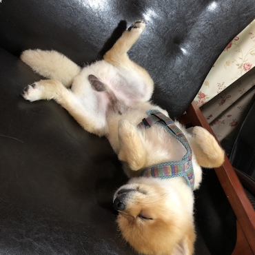 の写真