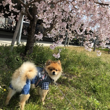 の写真