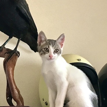2週間でだいぶ大きくなりました。