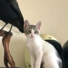2週間でだいぶ大きくなりました。