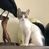 fuku530さん