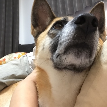 の写真