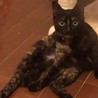 の写真