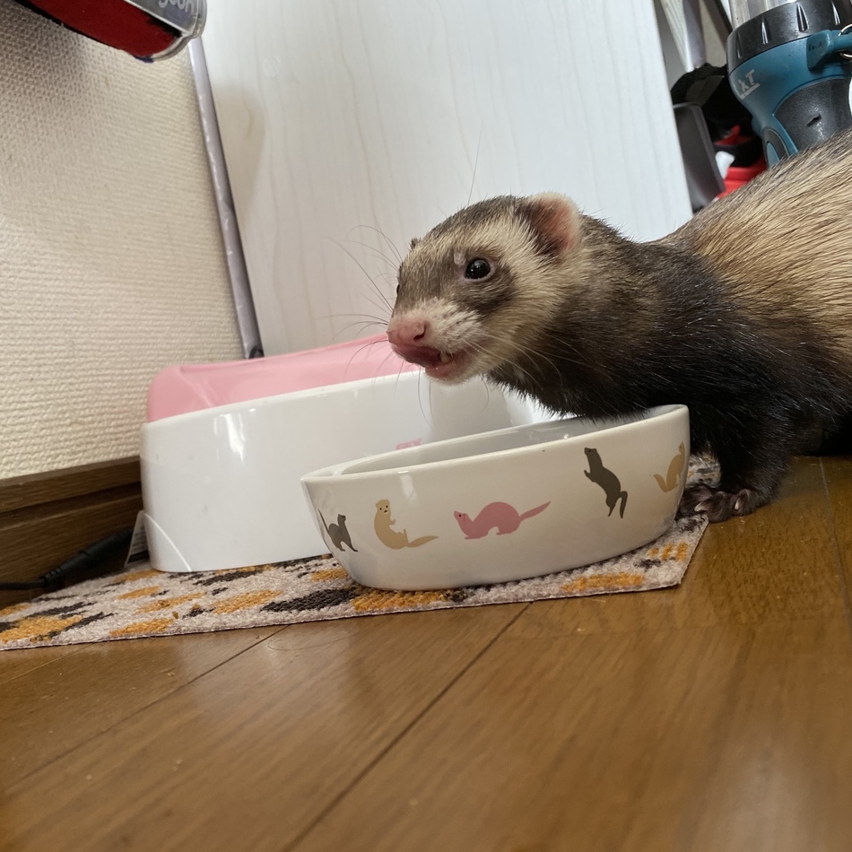 くまのカバー写真