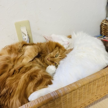 親子のおねむタイム