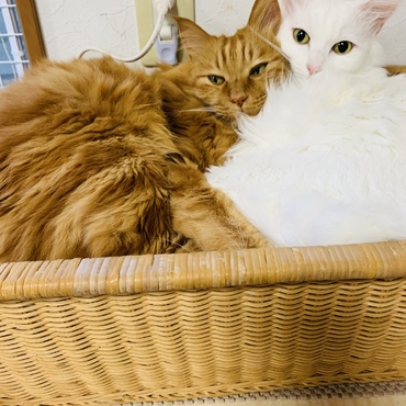 絵になるふたり