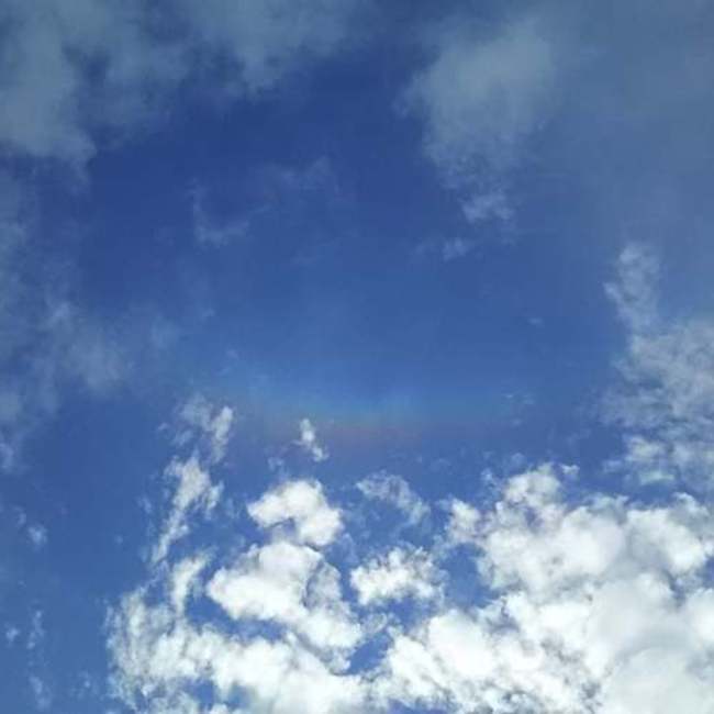 クラ猫のカバー写真