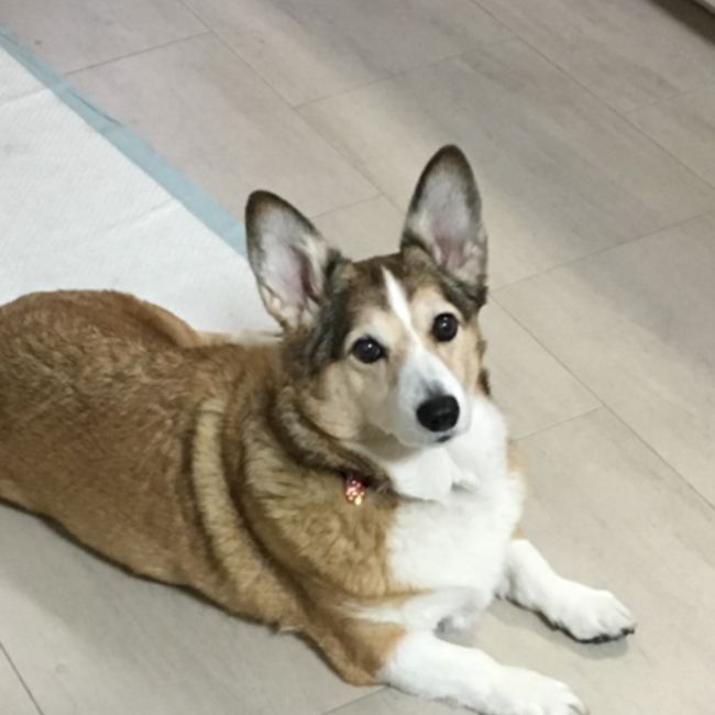 makojunのカバー写真