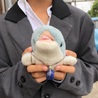 アベル　