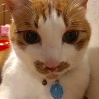 ネロ