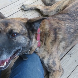 マザコン(^^ )ルフト