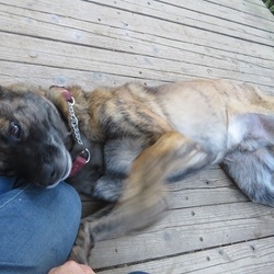 「マザコン(^^ )ルフト」サムネイル2